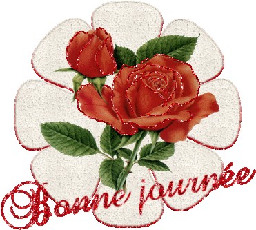bonne journ�e a tous